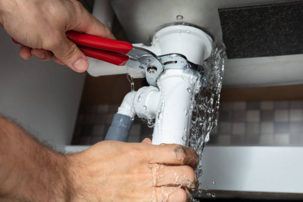 Best Water damage restoration process  in Georgetown, SC