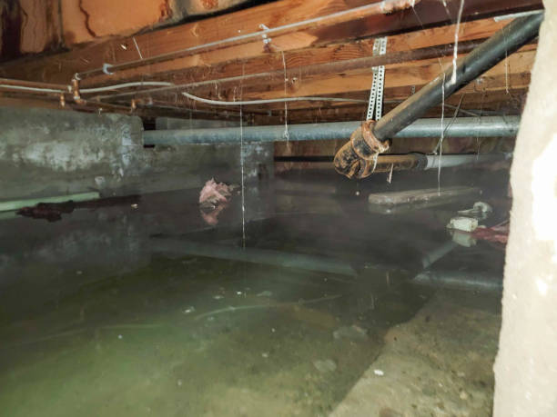 Professional Water damage restoration in Georgetown, SC