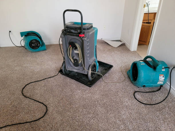 Best Flood restoration services  in Georgetown, SC