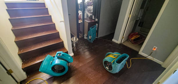 Water damage restoration mold remediation in Georgetown, SC