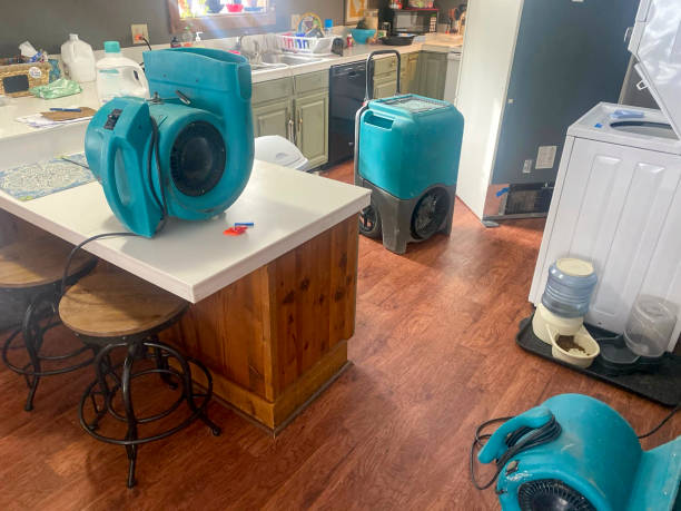 Best Water damage cleanup near me  in Georgetown, SC