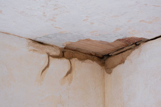 Best Water damage contractors near me  in Georgetown, SC