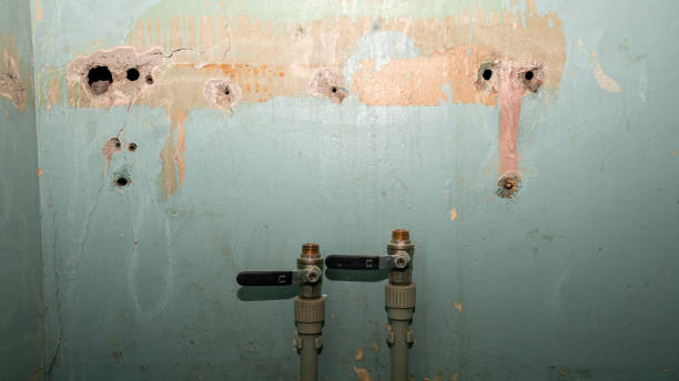 Best Local water damage restoration  in Georgetown, SC