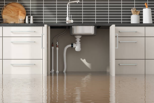 Best Water damage restoration specialists  in Georgetown, SC