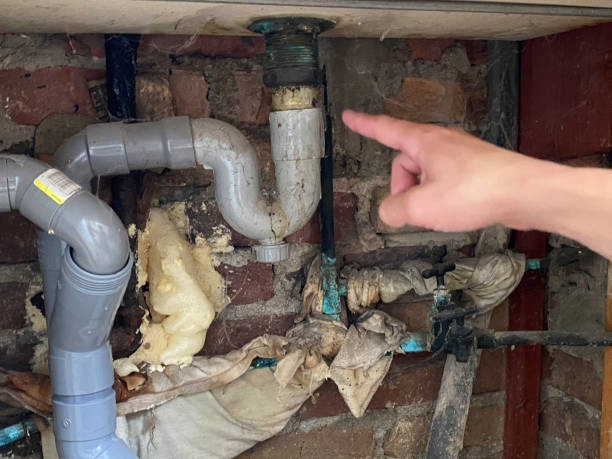 Best Mold removal after water damage  in Georgetown, SC