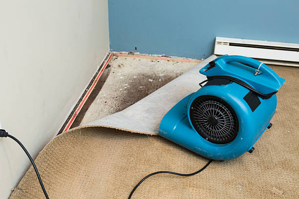 Best Commercial water damage restoration  in Georgetown, SC